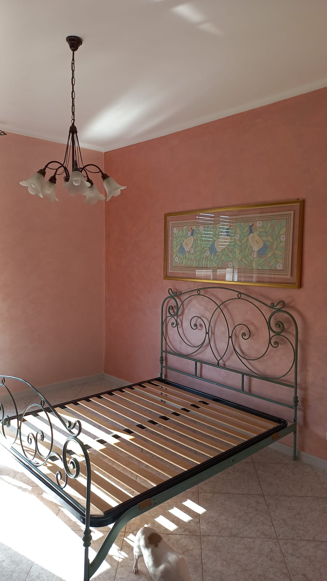 Decorazione 5